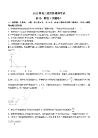 2023届湖南省株洲市高三下学期适应性模拟考试（三模）物理试题