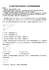 2023届辽宁省丹东市凤城市高三4月大联考物理试题理试题