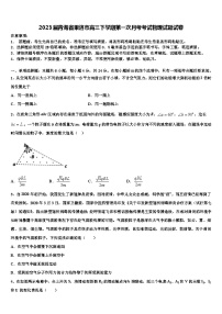 2023届青海省果洛市高三下学期第一次月考考试物理试题试卷