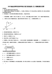 2023届山东潍坊实验中学高三复习质量监测（五）物理试题文试卷