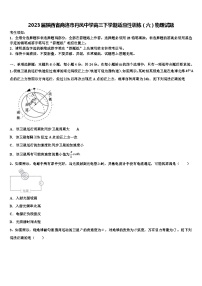 2023届陕西省商洛市丹凤中学高三下学期适应性训练（六）物理试题