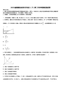 2023届西藏自治区林芝市高三（下）第二次月考物理试题试卷