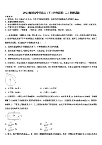 2023届延安中学高三（下）月考试卷（二）物理试题