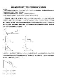 2023届张家界市重点中学高三下学期周末练习2物理试题