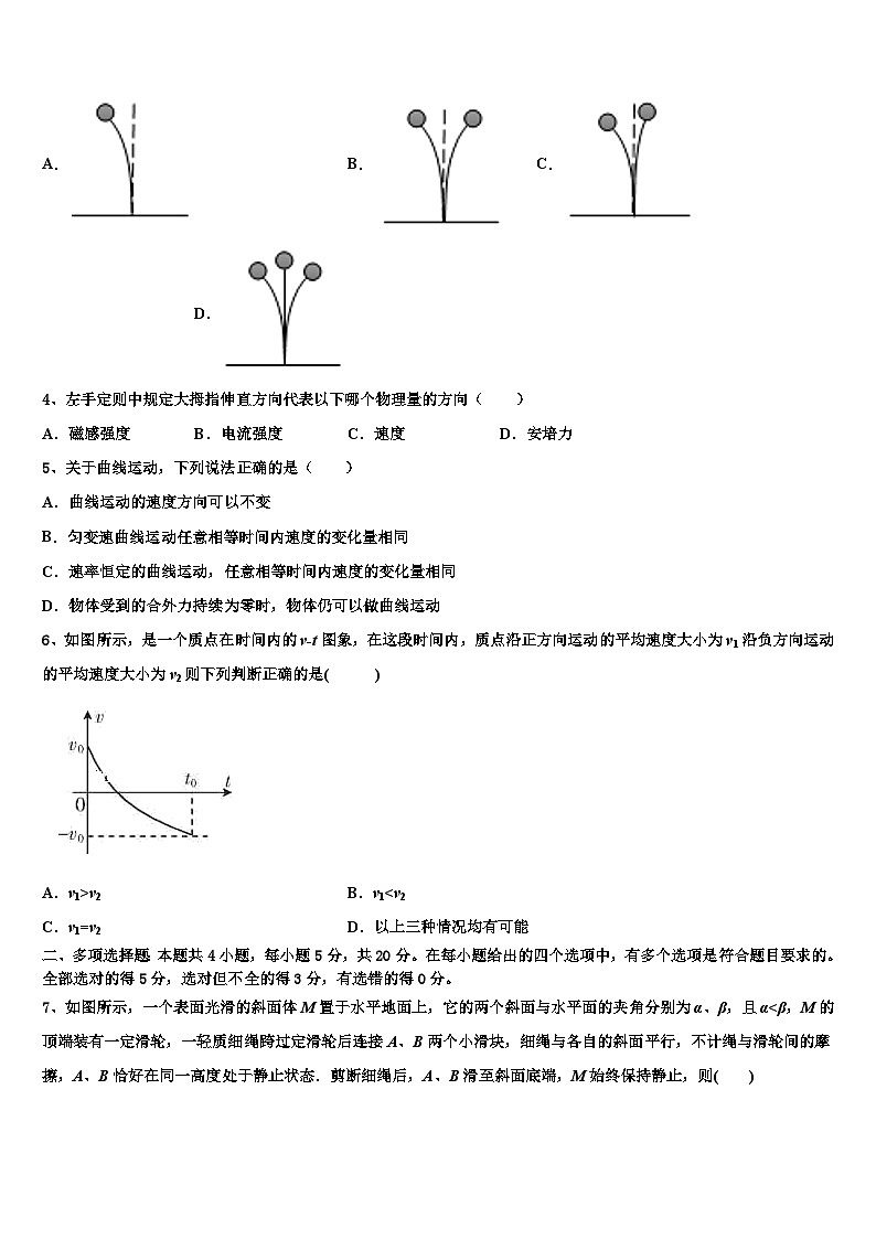 2023届上海交大南洋中学毕业班阶段性测试（一）物理试题试卷第2页