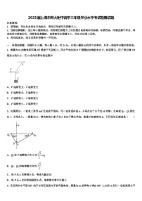 2023届上海市师大附中高中三年级学业水平考试物理试题