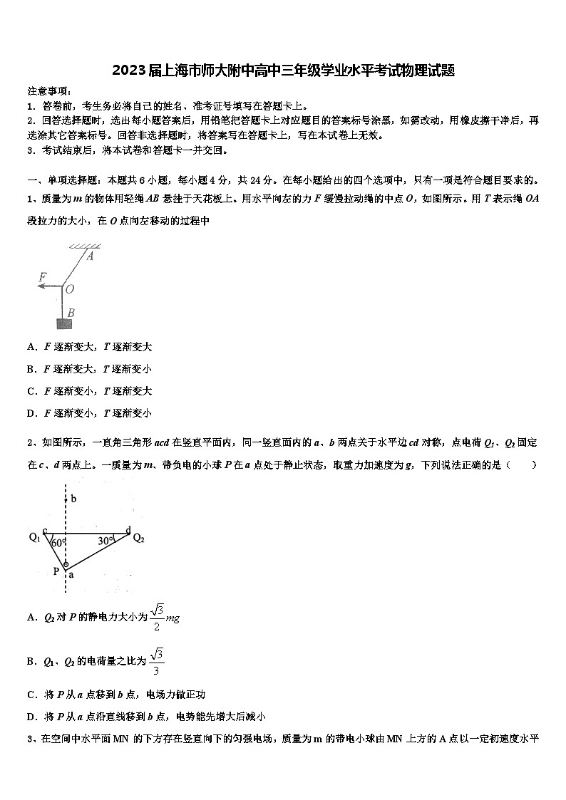 2023届上海市师大附中高中三年级学业水平考试物理试题第1页