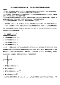 2023届四川省泸州市高三第二次适应性检测试题物理试题试卷