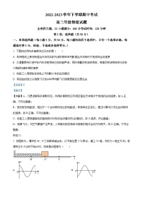 2022-2023学年云南省云南师范大学附属中学高二下学期期中物理试题（解析版）