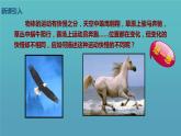 1.3位置变化快慢的描述—速度+课件+-2022-2023学年高一上学期物理人教版（2019）必修第一册+