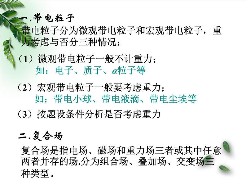 2022-2023年高考物理一轮复习 带电粒子在复合场中的运动课件(重点难点易错点核心热点经典考点)第3页