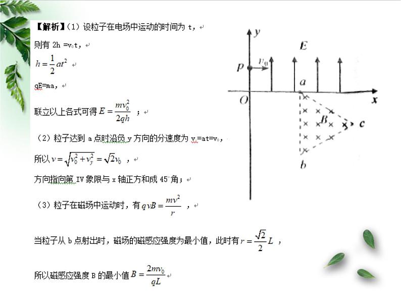 2022-2023年高考物理一轮复习 带电粒子在复合场中的运动课件(重点难点易错点核心热点经典考点)第8页