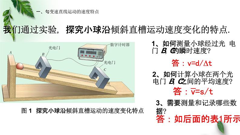 2022-2023年高考物理一轮复习 匀变速直线运动的特点课件(重点难点易错点核心热点经典考点)第3页