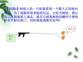 2022-2023年鲁科版(2019)新教材高中物理必修2 第2章抛体运动第2节平抛运动课件