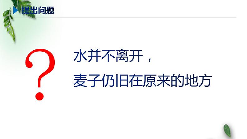 2022-2023年鲁科版(2019)新教材高中物理选择性必修1 第3章机械波第1节波的形成和描述课件(3)第4页