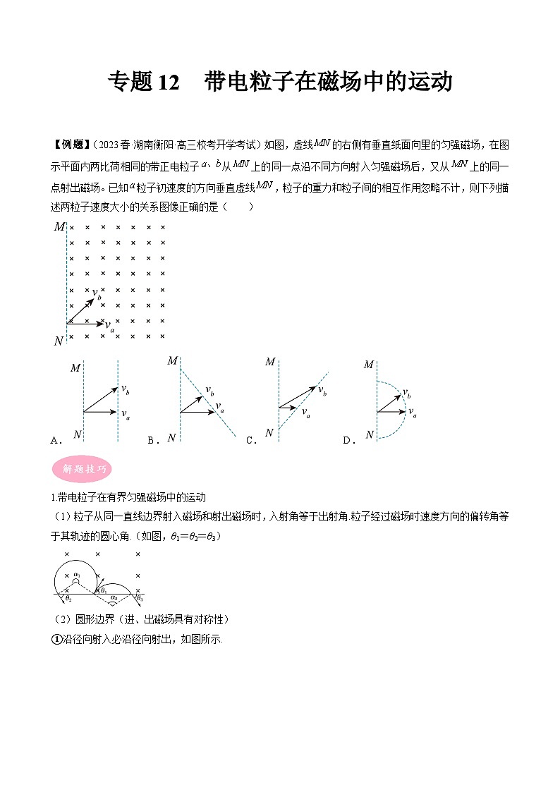 专题12　带电粒子在磁场中的运动-冲刺高考物理大题突破+限时集训（全国通用）01