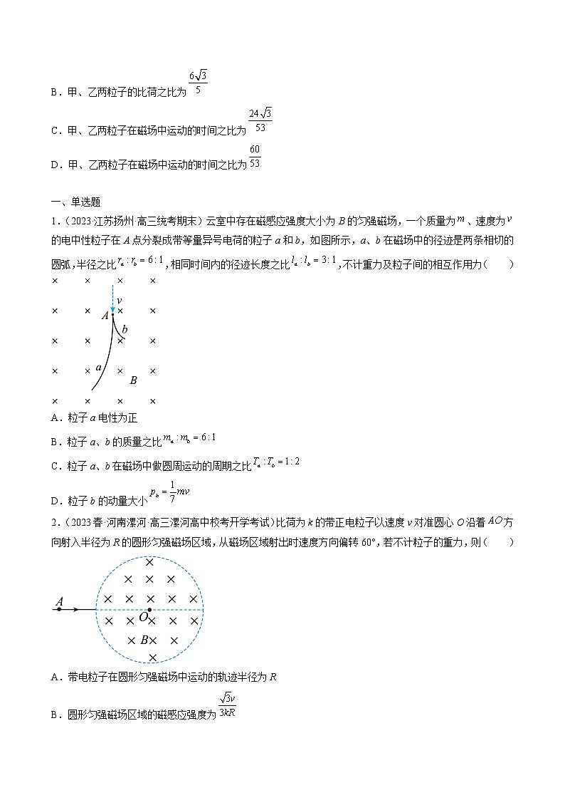 专题12　带电粒子在磁场中的运动-冲刺高考物理大题突破+限时集训（全国通用）03