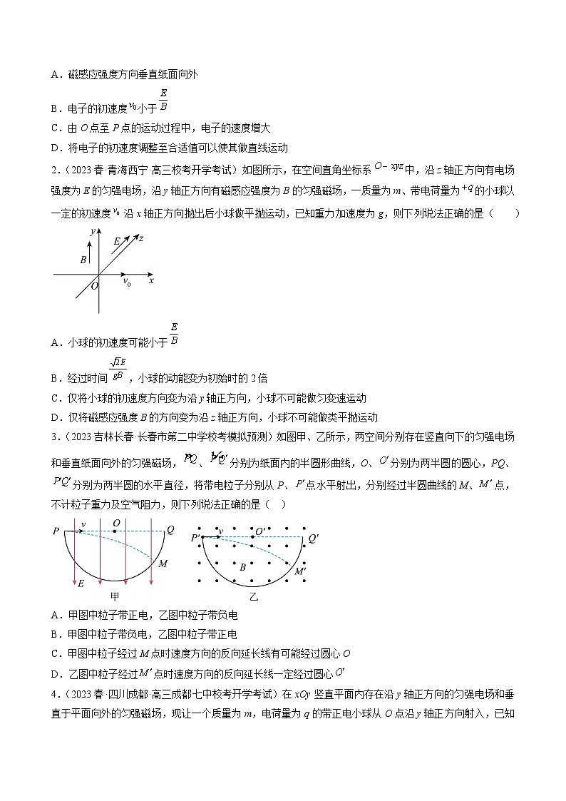 专题14　带电粒子在叠加场中的运动-冲刺高考物理大题突破+限时集训（全国通用）（原卷版）第3页