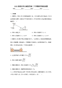 2023届重庆市主城四区高三下学期联考物理试题（含答案）