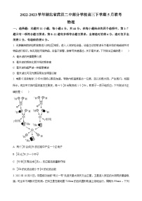 2022-2023学年湖北省武汉二中部分学校高三下学期5月联考物理试题（解析版）