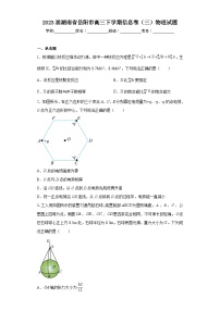 2023届湖南省岳阳市高三下学期信息卷（三）物理试题（含答案）