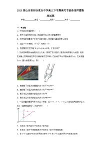 2023届山东省部分重点中学高三下学期高考考前热身押题物理试题（含解析）