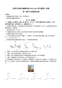 广东省深圳市龙岗区德琳学校2022-2023学年高一下学期期中物理试题(无答案)