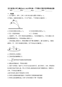 四川省眉山市仁寿县2022-2023学年高一下学期5月期中联考物理试卷（含答案）