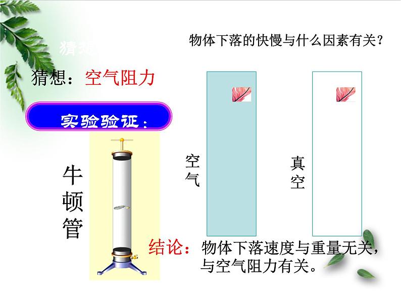 2022-2023年人教版(2019)新教材高中物理必修1 第2章匀变速直线运动的研究第4节自由落体运动课件第4页