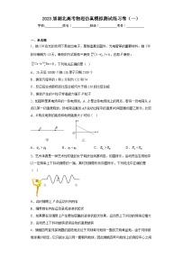 2023届湖北高考物理仿真模拟测试练习卷（一）（含解析）