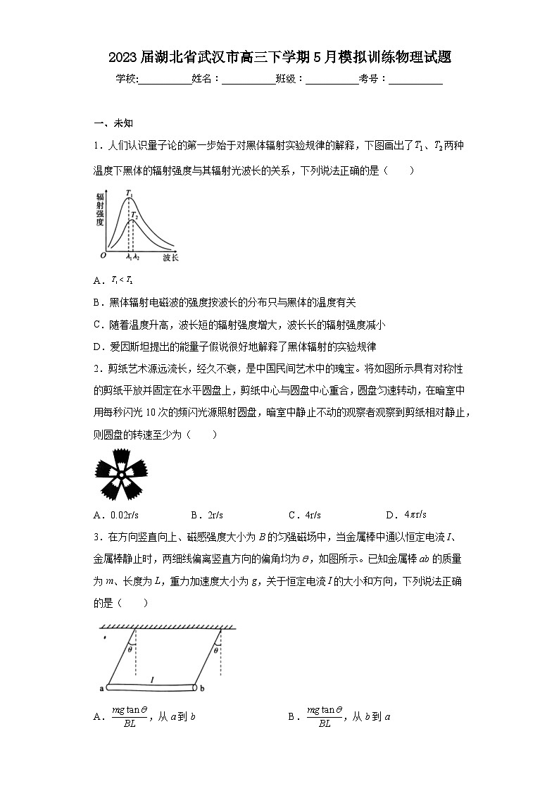 2023届湖北省武汉市高三下学期5月模拟训练物理试题（无答案）01