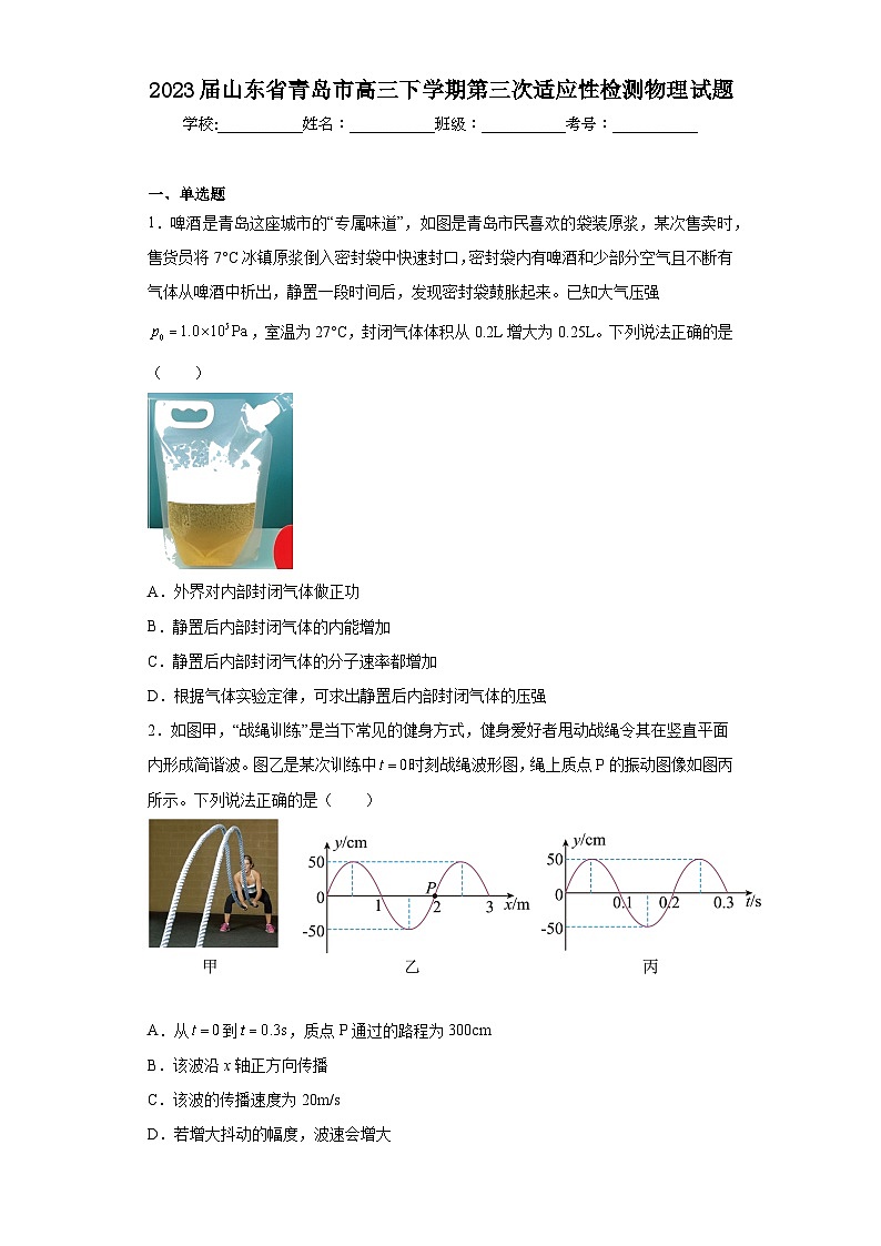 2023届山东省青岛市高三下学期第三次适应性检测物理试题（含解析）第1页