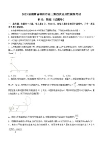 2023届湖南省郴州市高三第四次适应性模拟考试 物理试题（解析版）