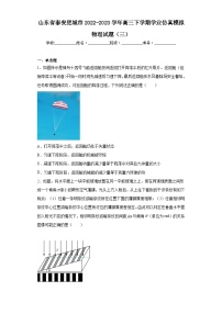 山东省泰安肥城市2022-2023学年高三下学期学业仿真模拟物理试题（三）（含解析）