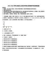 2022-2023学年江西省九江同文中学高三春季期中考试物理试题