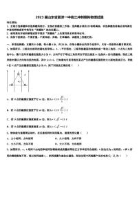 2023届山东省夏津一中高三冲刺模拟物理试题