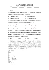 2023年高考全国乙卷物理真题（含解析）