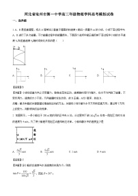 河北省沧州市第一中学高三年级物理学科高考模拟试卷