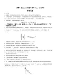 2023届山东省聊城市百师联盟高三下学期模拟预测物理试题