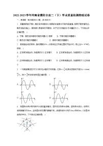 2022-2023学年河南省濮阳市高二（下）学业质量检测物理试卷（含解析）