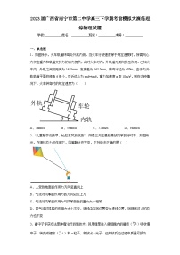 2023届广西省南宁市第二中学高三下学期考前模拟大演练理综物理试题（含解析）