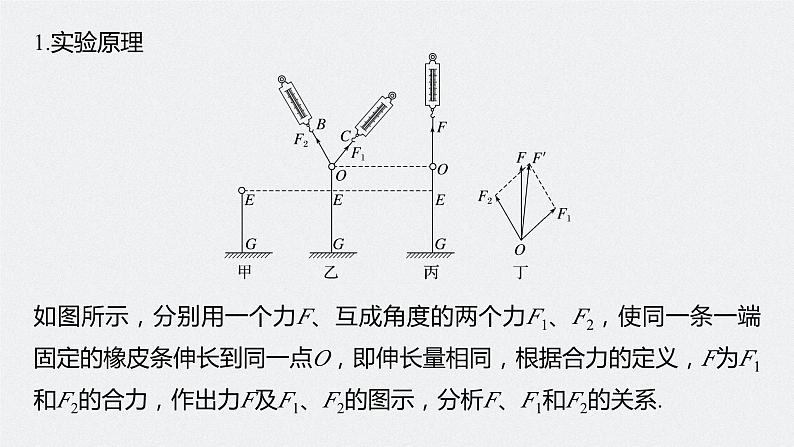 2024年高考物理一轮复习（新人教版） 第2章 实验3　探究两个互成角度的力的合成规律 课件05