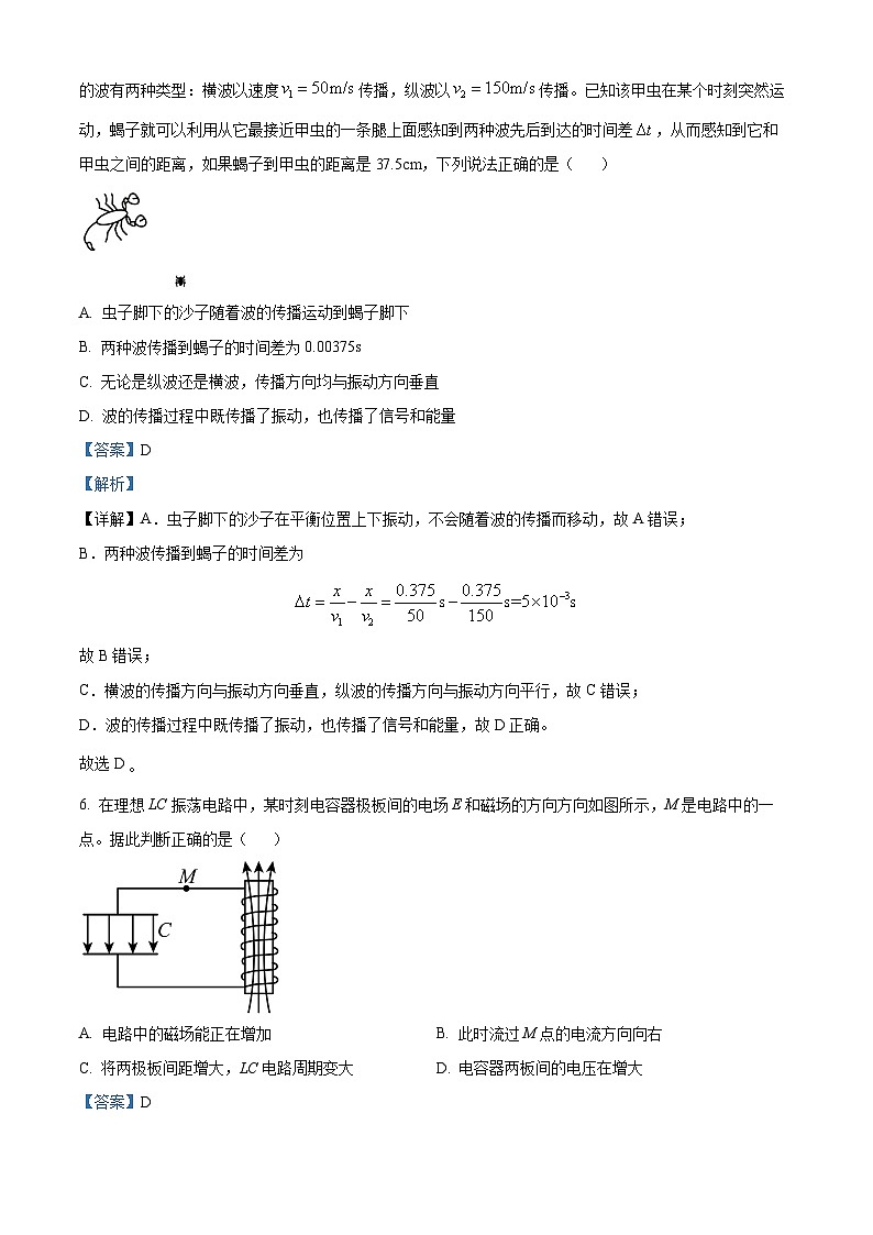 2023绍兴高二下学期期末物理试题含解析03