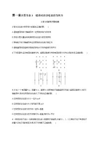 高中物理人教版 (2019)选择性必修 第二册2 磁场对运动电荷的作用力综合训练题