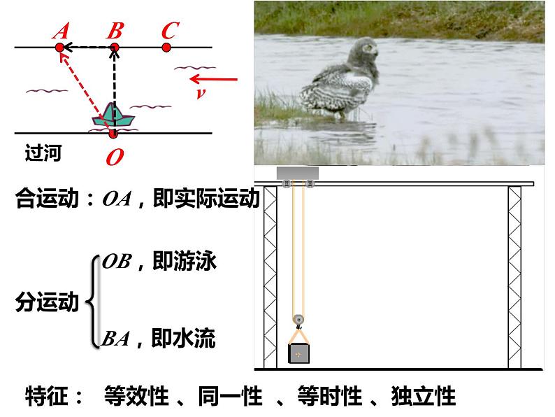 5.2运动的合成与分解课件— 2020-2021学年【新教材】人教版(2019)高中物理必修二第8页