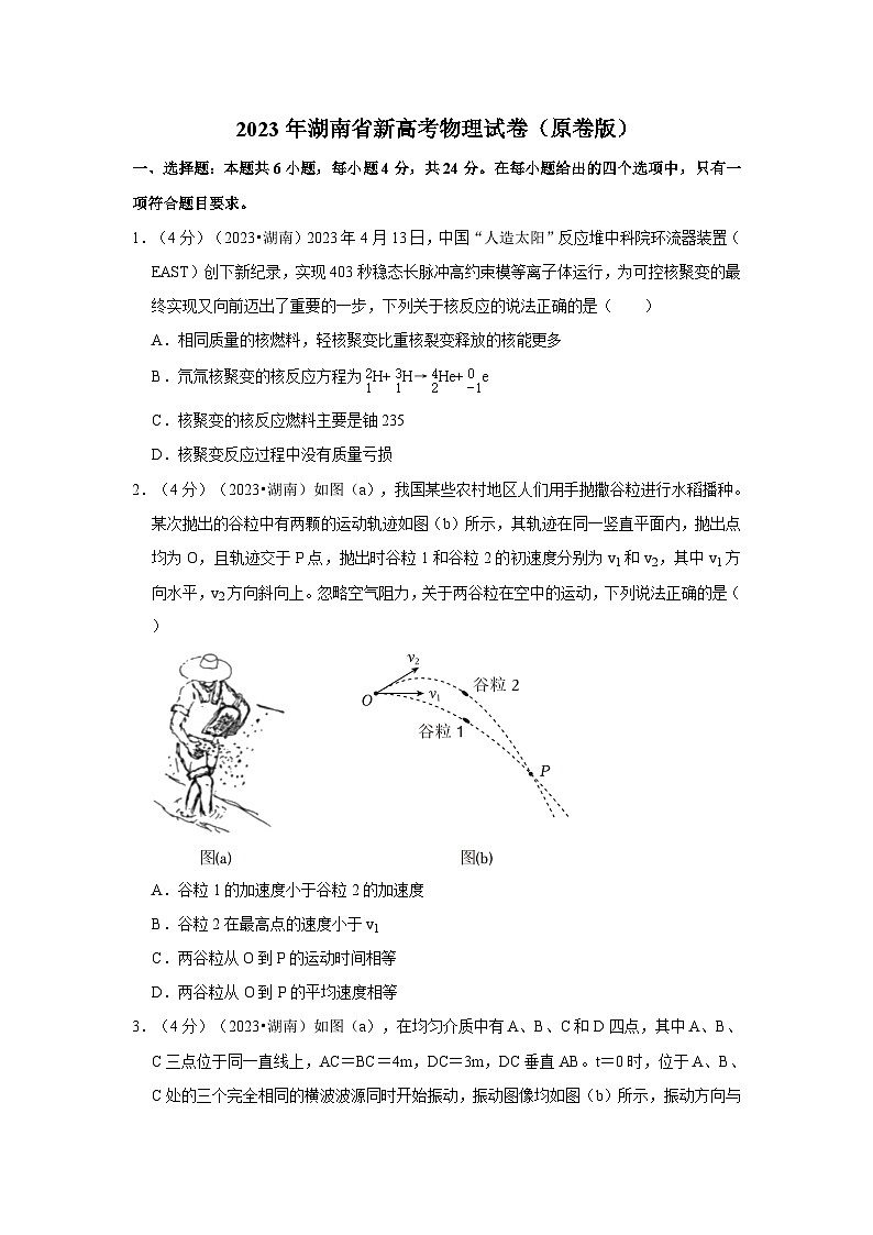 2023年湖南省新高考物理试卷（原卷+解析）01
