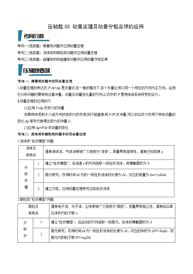 压轴题05 动量定理及动量守恒定律的应用（解析版）第1页