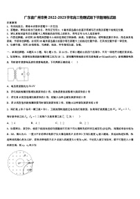 广东省广州华美2022-2023学年高三物理试题下学期周练试题