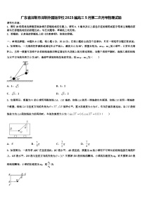 广东省深圳市深圳外国语学校2023届高三5月第二次月考物理试题