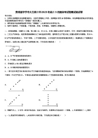 贵州省毕节市大方县三中2023年高三3月摸底考试物理试题试卷